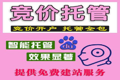 某电商平台信息流竞价策略及成效分析